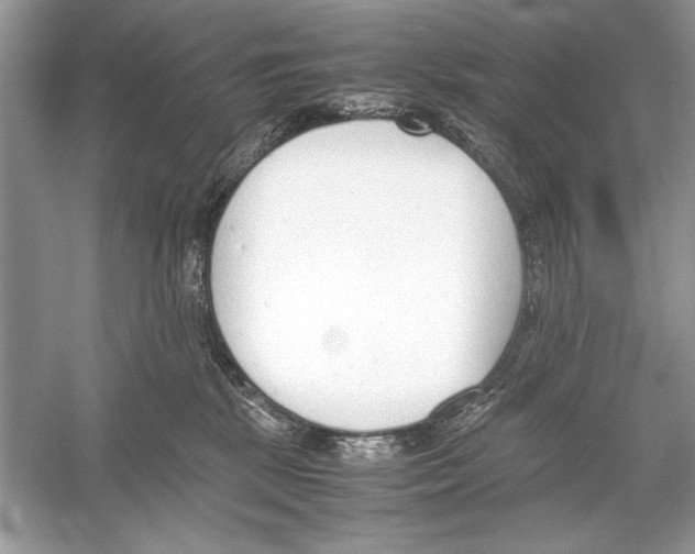 X0000051910281200507222116