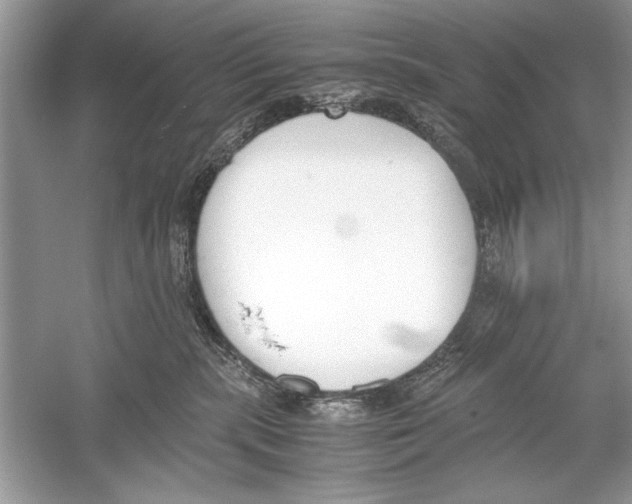 X0000051910283200507222116