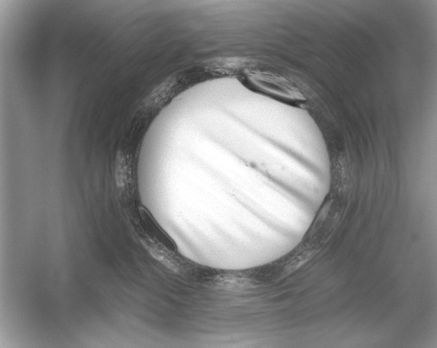 X0000051910284200507222116