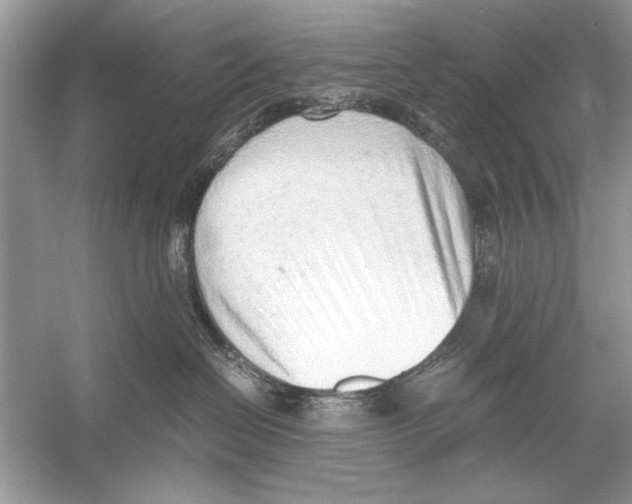 X0000051910286200507222116