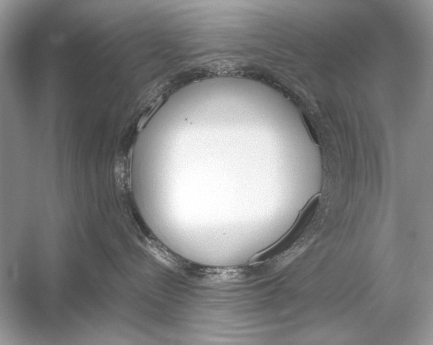 X0000051910288200507222116