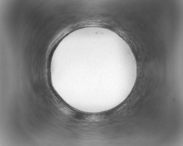 X0000051910293200507222115