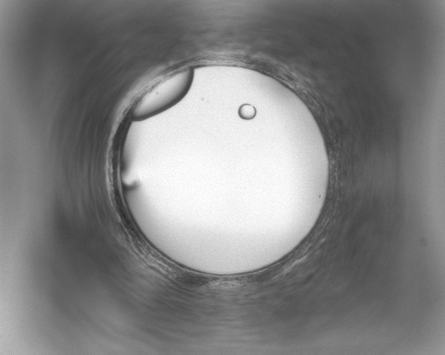 X0000051910294200507222115