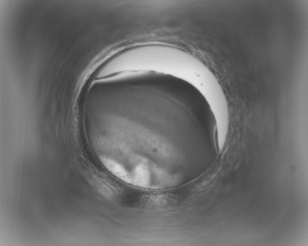 X0000051910295200507222115