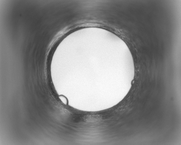 X0000051910296200507222115