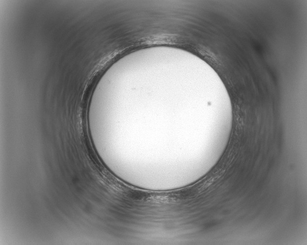 X0000051910298200507222115