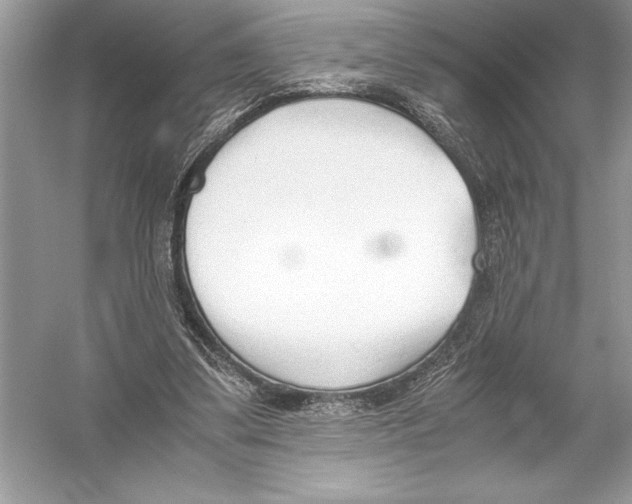 X0000051910299200507222115