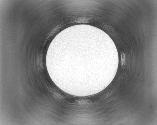 X0000051910300200507222115