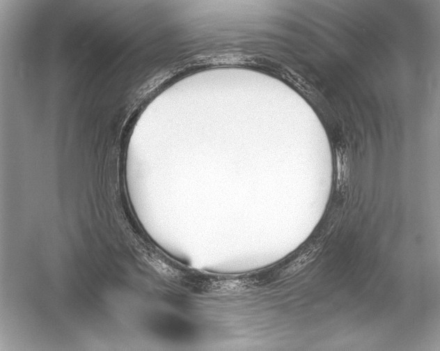 X0000051910301200507222115