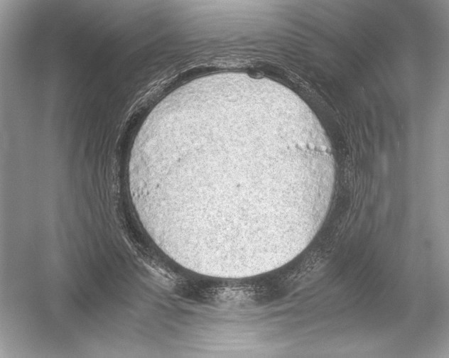 X0000051910303200507222115