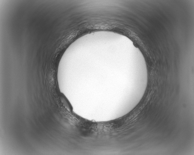 X0000051910305200507222115