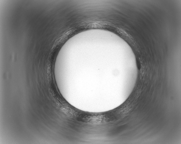 X0000051910306200507222115