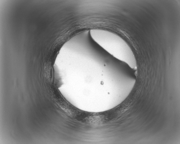 X0000051910307200507222115