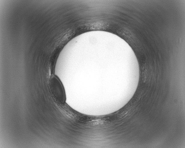 X0000051910310200507222115