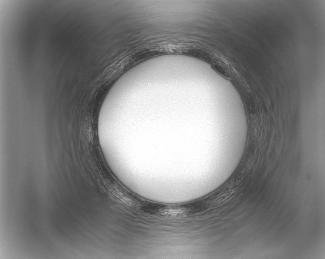 X0000051910313200507222115