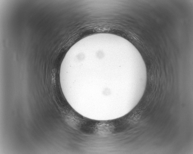 X0000051910315200507222115