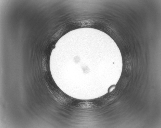 X0000051910316200507222115