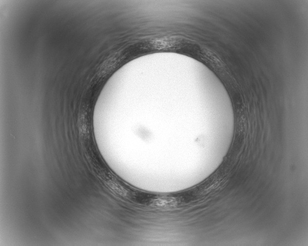 X0000051910317200507222115