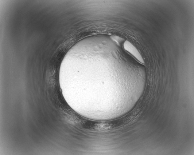 X0000051910319200507222115