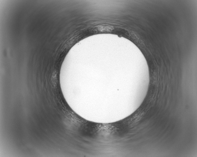 X0000051910321200507222115