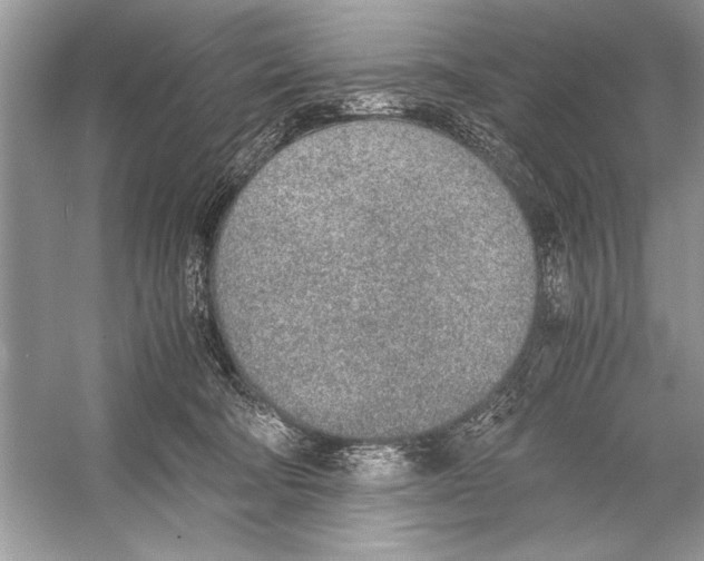 X0000051910322200507222115