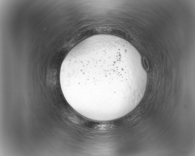 X0000051910323200507222115