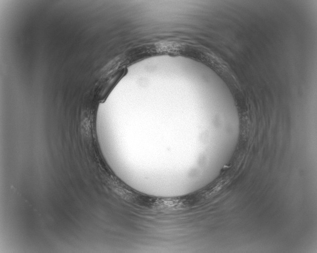 X0000051910329200507222115