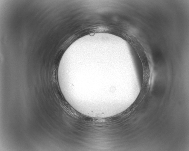 X0000051910330200507222115