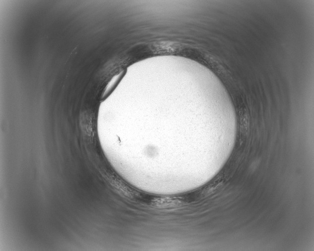 X0000051910331200507222115