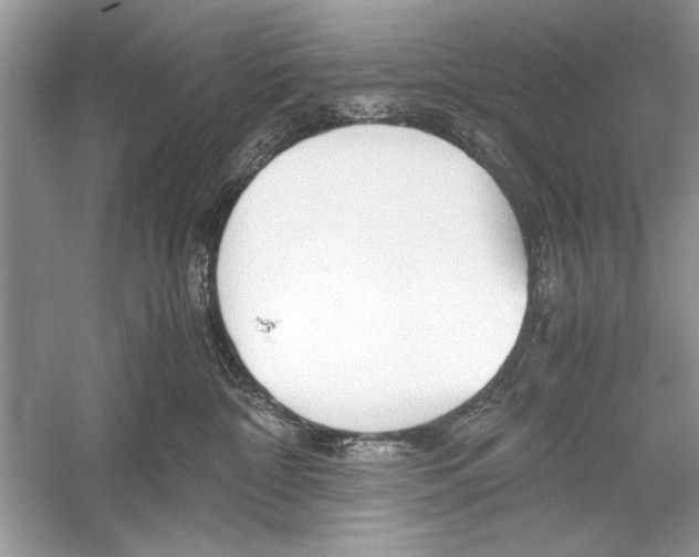 X0000051910332200507222115