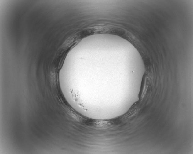 X0000051910333200507222115