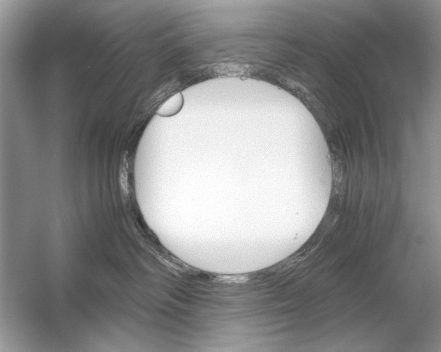 X0000051910334200507222115