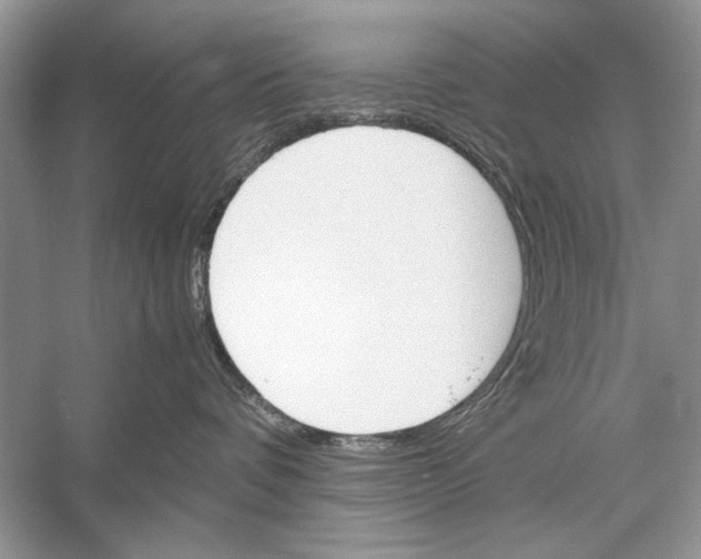 X0000051910336200507222115