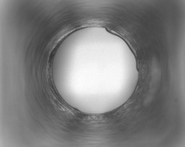 X0000051910338200507222114