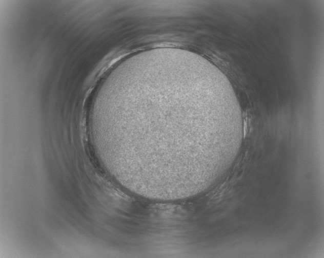 X0000051910339200507222114