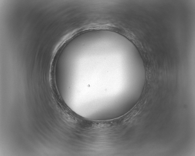 X0000051910340200507222114