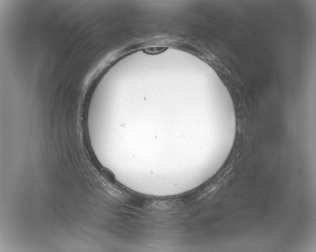 X0000051910341200507222114