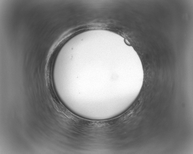 X0000051910343200507222114