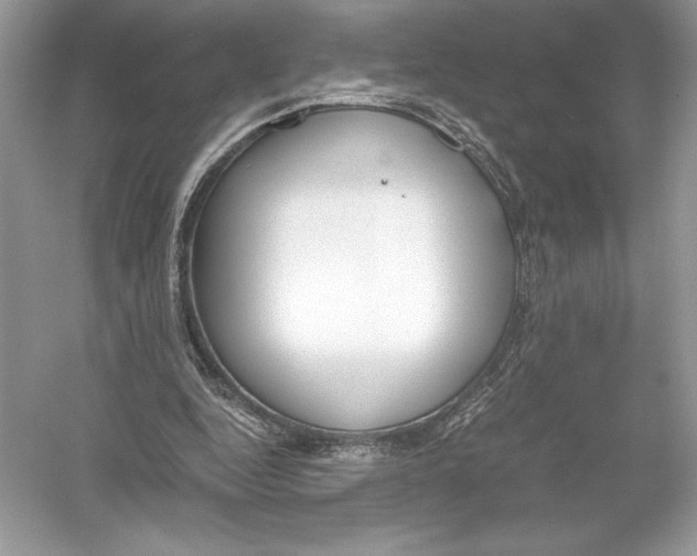 X0000051910344200507222114