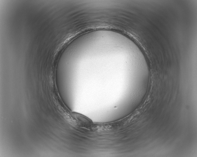 X0000051910345200507222114