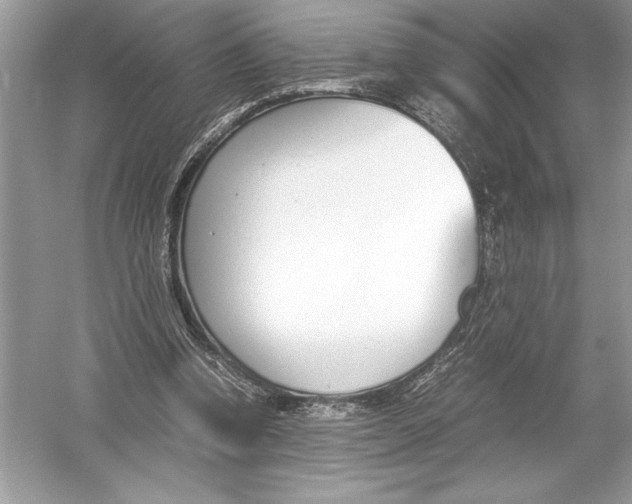 X0000051910346200507222114