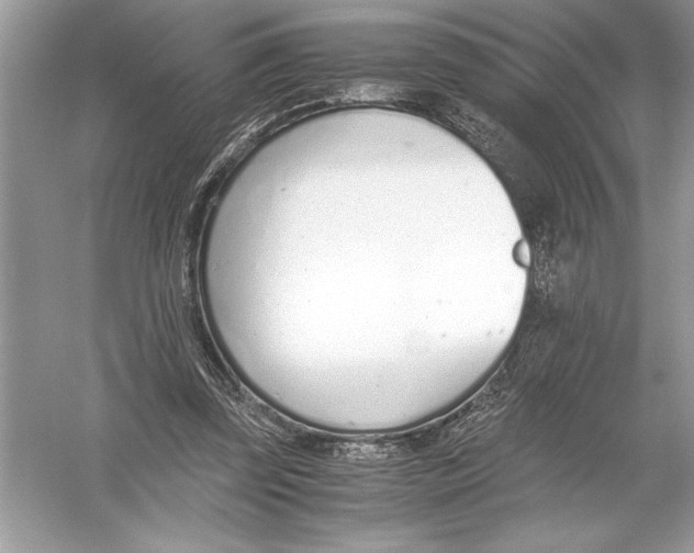 X0000051910347200507222114