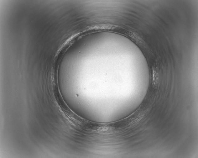 X0000051910348200507222114