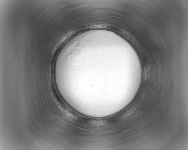 X0000051910349200507222114