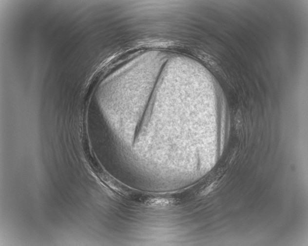 X0000051910352200507222114