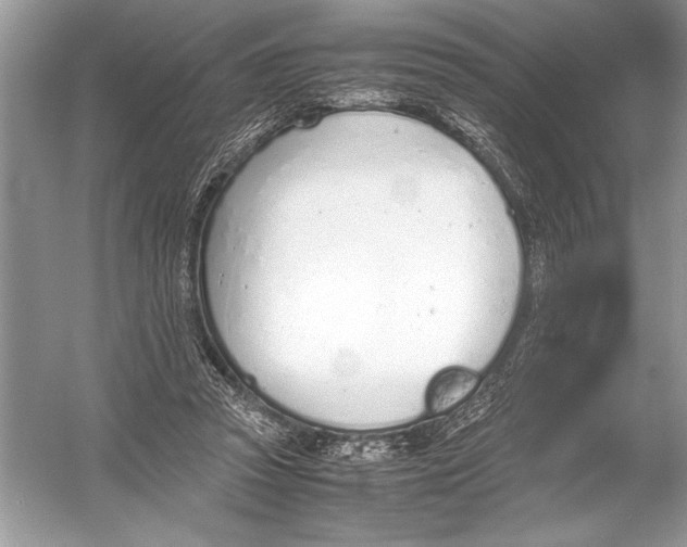 X0000051910353200507222114