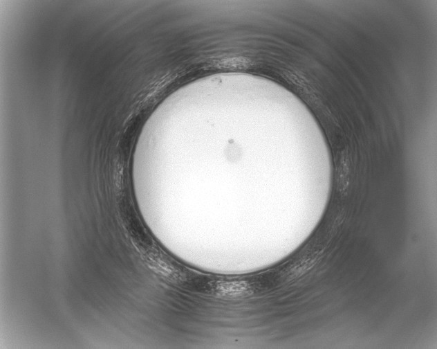 X0000051910355200507222114