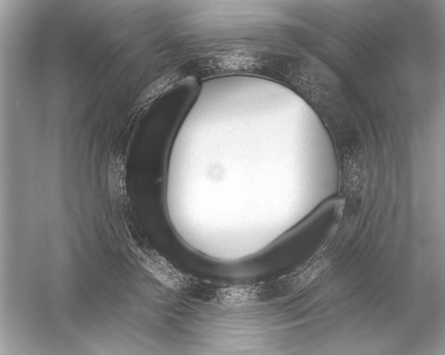 X0000051910356200507222114