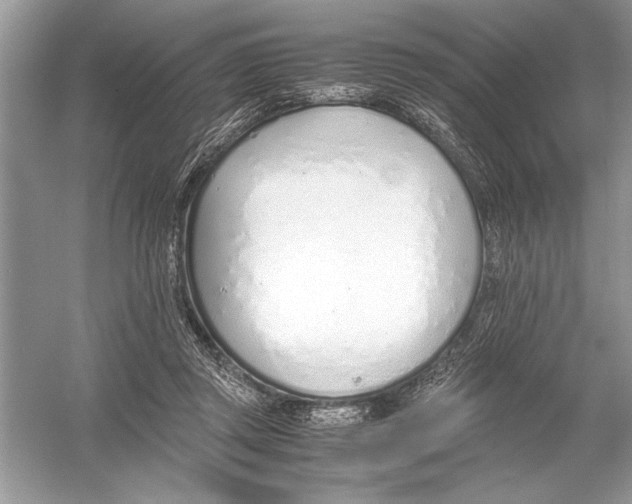 X0000051910357200507222114