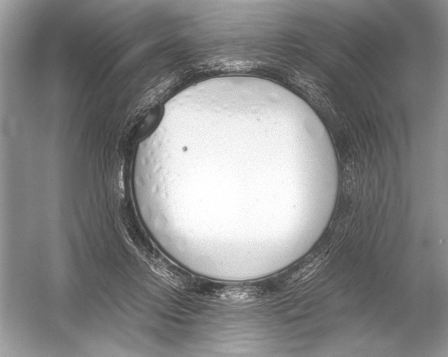 X0000051910358200507222114